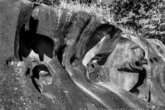 Sandstone formations on Hornby Island.