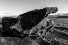 Sandstone formations on Hornby Island.