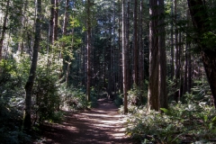 Helliwell Provincial Park