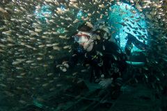 diver in the Betty bomber at Truk Lagoon