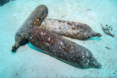 Oxygen bottles from Betty bomber in Truk Lagoon