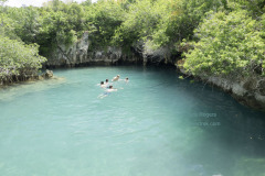 Swimmers enjoying the Blue Hole at Blue Hole Park, Bermuda