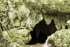 Walsingham cave in Blue Hole Park Bermuda.