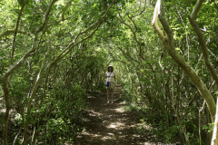 Exploring the jungle in Blue Hole Park Bermuda.