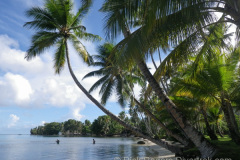 Beach at the Blue Lagoon Dive resort