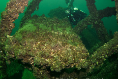 A closeup of one of the paddles on the starboard paddle wheel with a diver