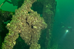 Paddle wheel on Cornwall wreck.