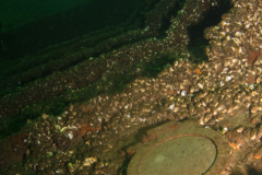 Intact port window on the Cornwall wreck.