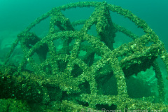 Paddle wheel on the Cornwall wreck.