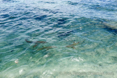 Fonomu-Island, Chuuk (Truk) Lagoon