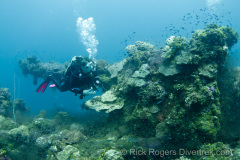 stern gun on the Fujikawa Maru wreck