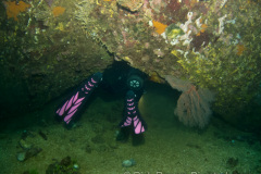 torpedo hole on the Fujikawa Maru wreck