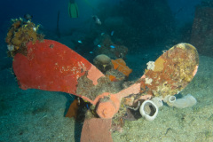skiff near the Fujikawa Maru wreck