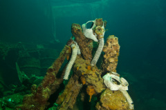Gas mask & machine gun Display on the Fujikawa Maru wreck.