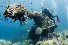 Fujikawa-Maru-1-of-1-7