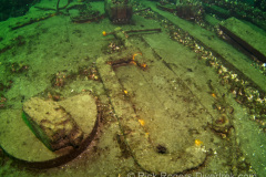 collection of tools on the George Marsh wreck