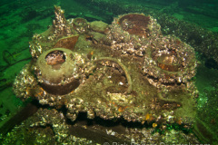 pottery & stove on the George March wreck.