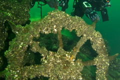 Divers at the ship's wheel on the George Marsh wreck.