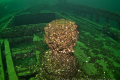 the capstan on the George Marsh wreck