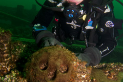 Diver inspects a deadeye on the George Marsh wreck.