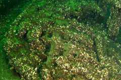 Collapsed life boat on the George Marsh wreck