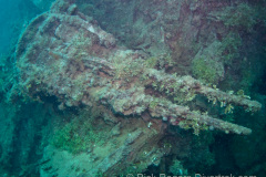 Kiyosumi-Maru antiaircraft gun