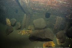 Rocks-in-Land-Tortoise-Radeau-1-of-1