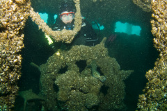 Wheel of the Mary Alice B. tugboat