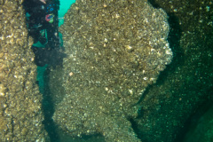 Propeller of the Mary Alice B.tugboat
