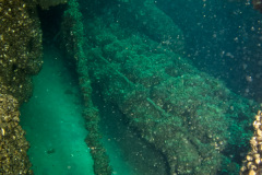 engine room of the Mary Alice B.