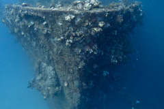 bow of the Nippo Maru.