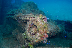 tank on the Nippo Maru wreck