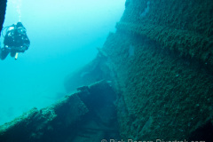 diver explores the large gash in the Regina wreck