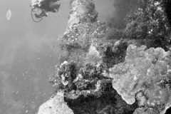 Large deck gun Rio De Janeiro Maru