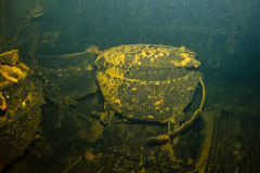 Pots in the galley of the Rio De Janeiro Maru.