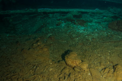 Bullets on the Sankisan Maru wreck
