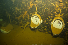 urinals on the Shinkoko Maru