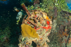 Engine telegraph on the Shinkoko Maru.