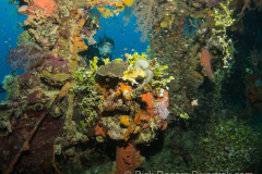 Shinkoko-Maru-1-of-1-8