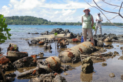 Torpedos at the sea plane base, Tonoas Island, Chuuk (Truk) lagoon.