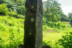 Imperial Japanese monument on Tonoas Island, Chuuk (Truk) lagoon