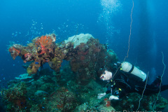 bow gun Unkai Maru