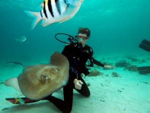 Stingray City, Grand Cayman Stingray City, Grand Cayman