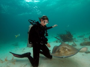 Stingray City, Grand Cayman Stingray City, Grand Cayman