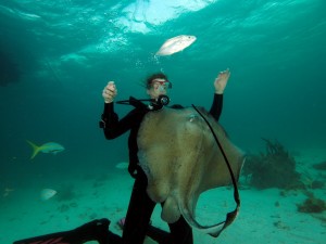 Stingray City, Grand Cayman Stingray City, Grand Cayman