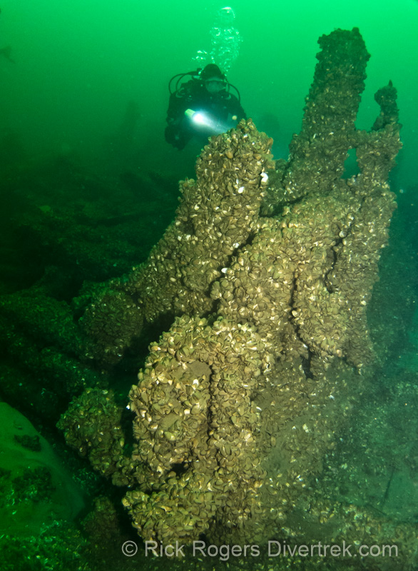 the Indiana wreck in lake erie