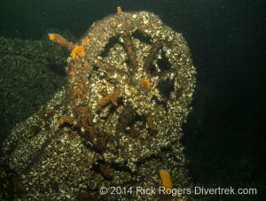 wheel of the George T. Davie wreck.