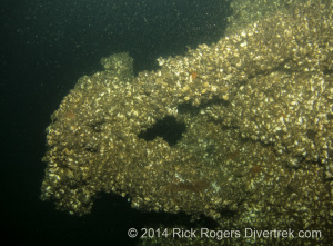 George T. Davie's anchor.