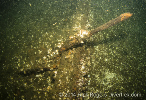 shovel from George T. Davie wreck.
