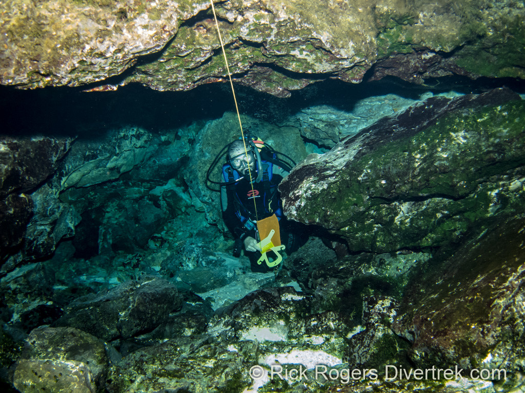 The cave, at Rainbow River, Florida.